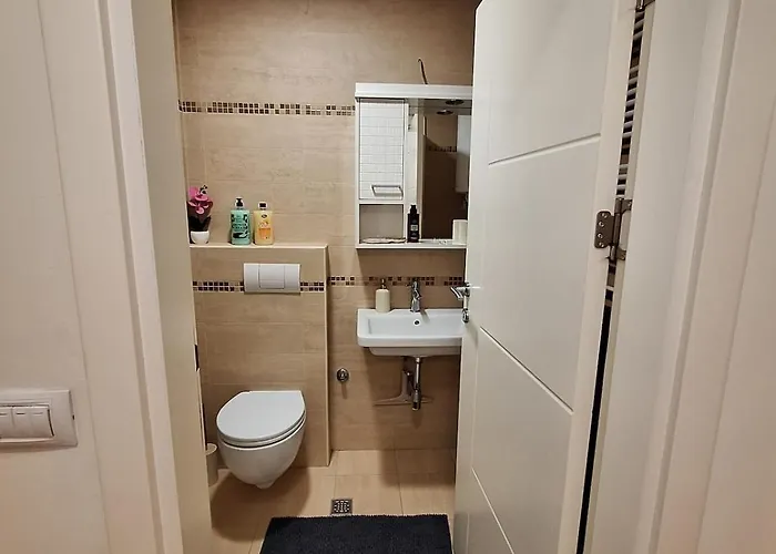 Nika Vracar 아파트 베오그라드