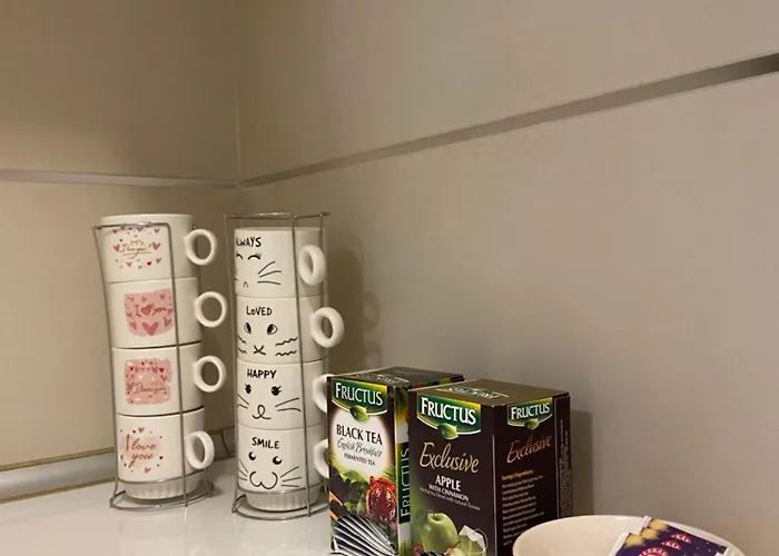 Nika Vracar 베오그라드